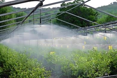 博觀科技智慧農業自動施肥系統技術方案分析，助力農業生產方式變革