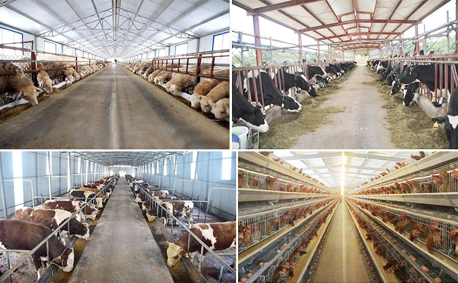智慧畜牧養殖系統