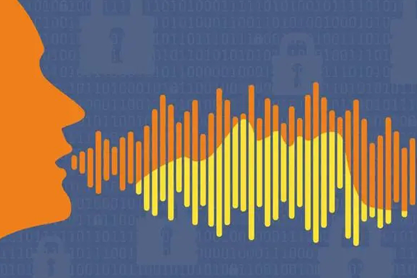 語音控制并不需要網絡連接